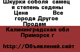 Шкурки соболя (самец) 1-я степень седены › Цена ­ 12 000 - Все города Другое » Продам   . Калининградская обл.,Приморск г.